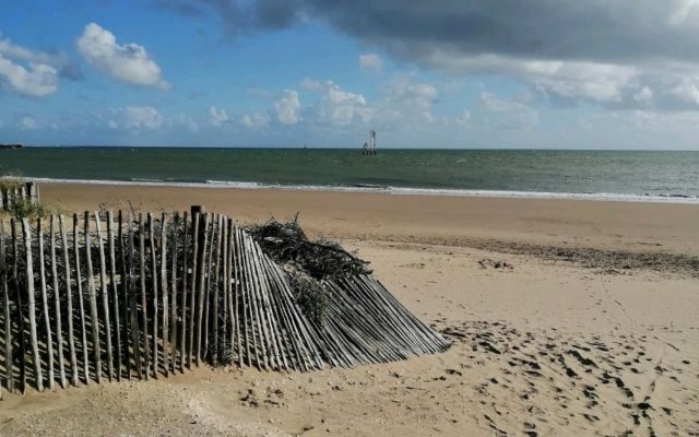 Course solidaire : course au bord de la plage